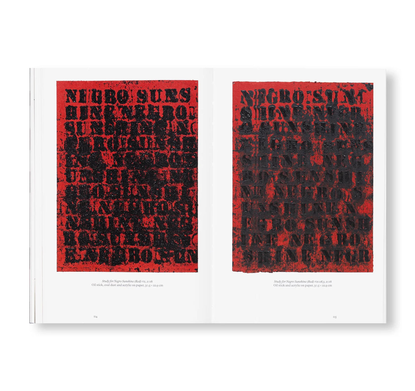 Glenn Ligon: All Over The Place
