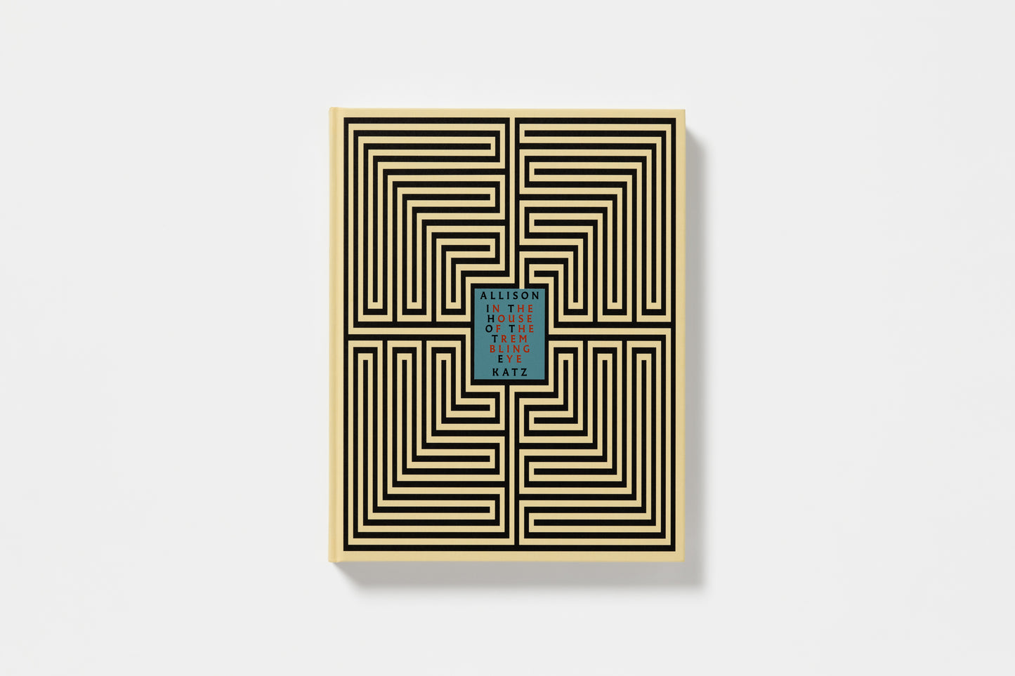 Allison Katz: In the House of the Trembling Eye