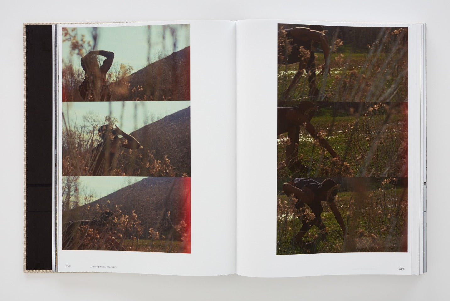 Rashid Johnson: The Hikers