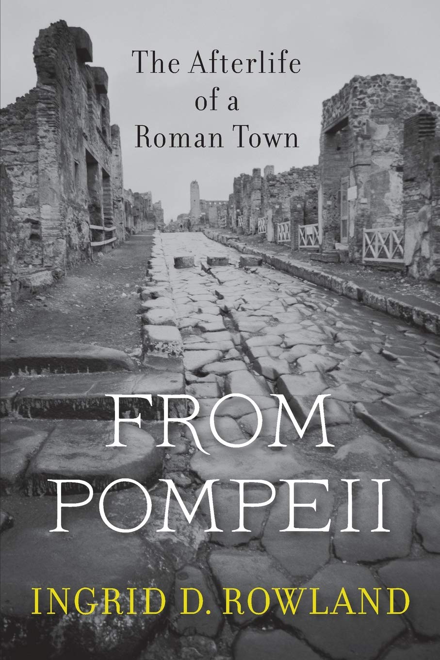 From Pompeii: The Afterlife of a Roman Town