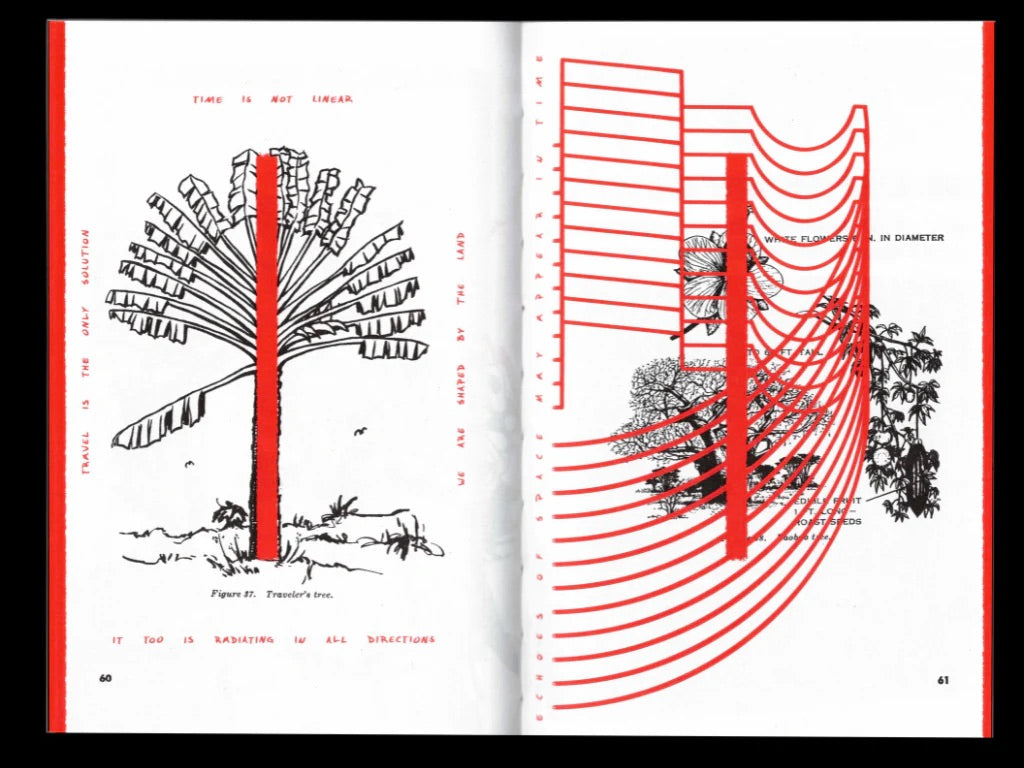 SURVIVA: A Future Ancestral Field Guide