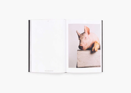 Heji Shin: The Big Nudes