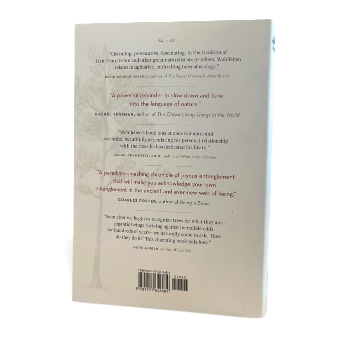 The Hidden Life of Trees: What They Feel, How They Communicate