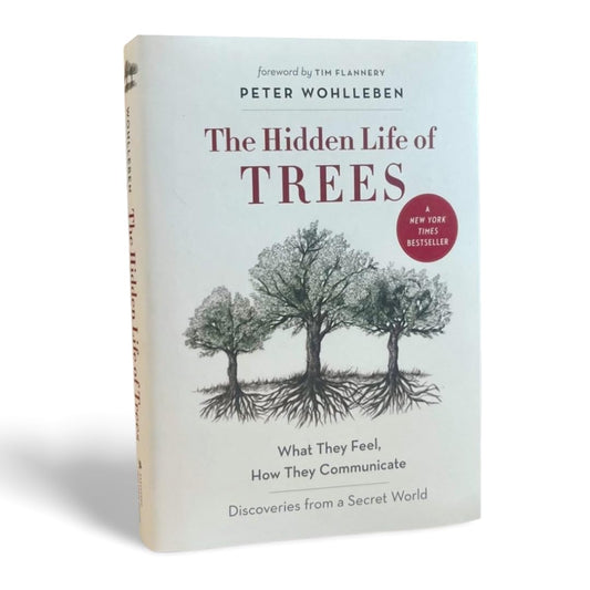 The Hidden Life of Trees: What They Feel, How They Communicate