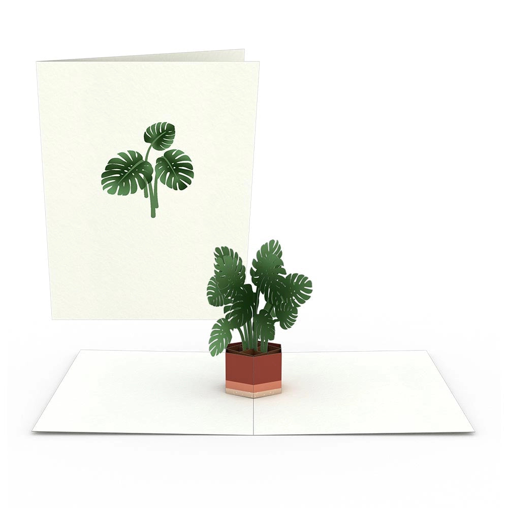 Pop Up Greeting Cards by LovePop