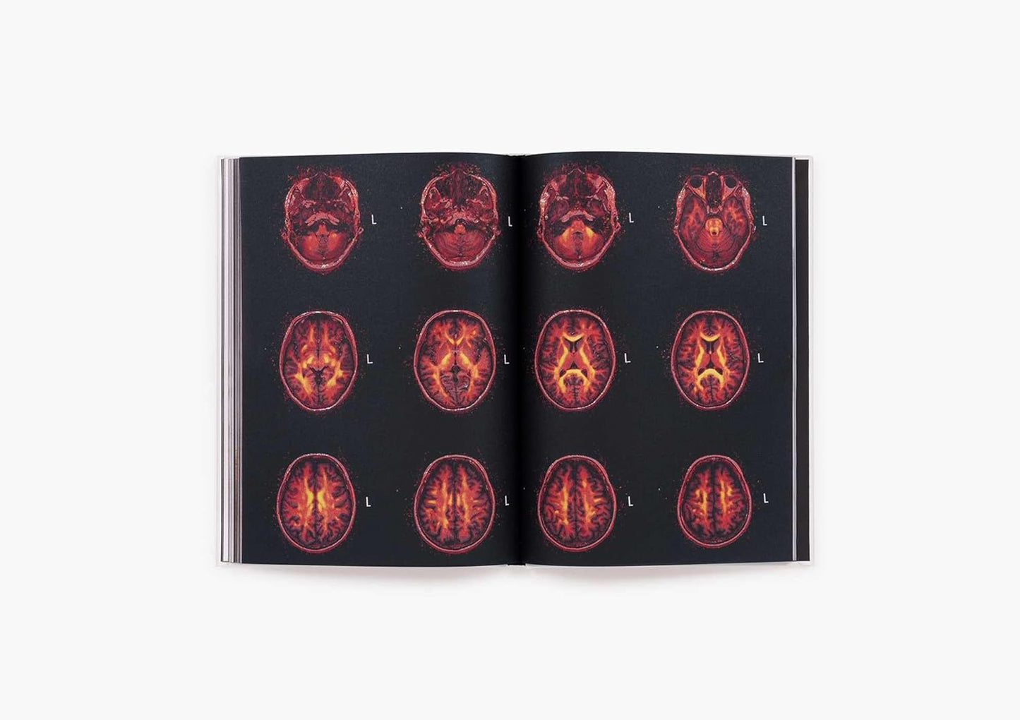 Heji Shin: The Big Nudes