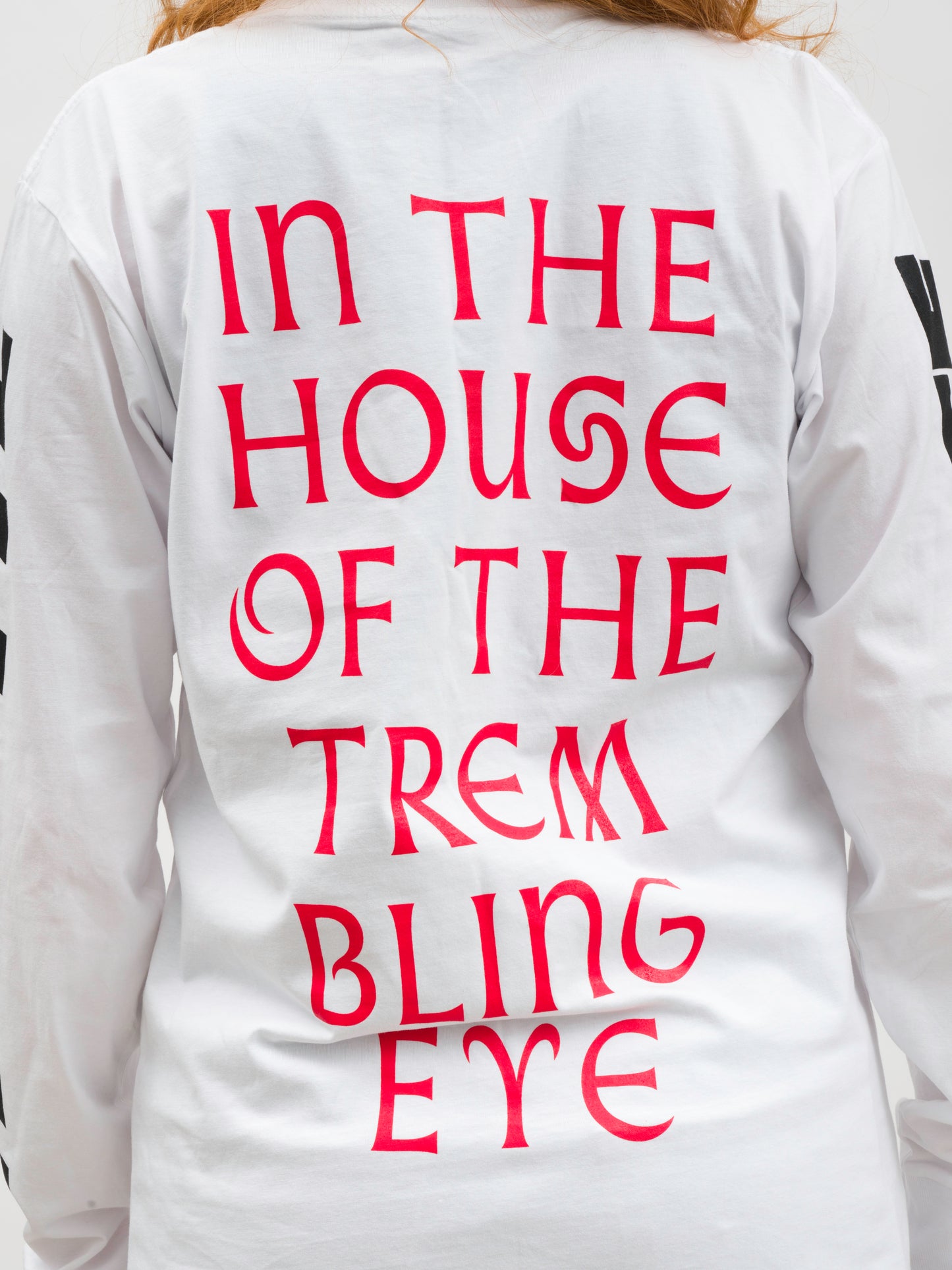 In The House of The Trembling Eye T-shirt x Allison Katz