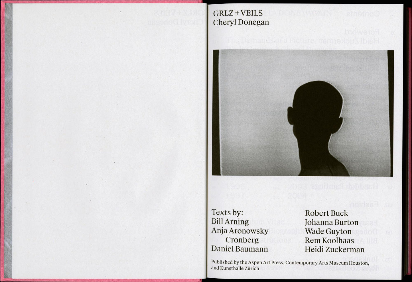 Cheryl Donegan: Grlz + Veils