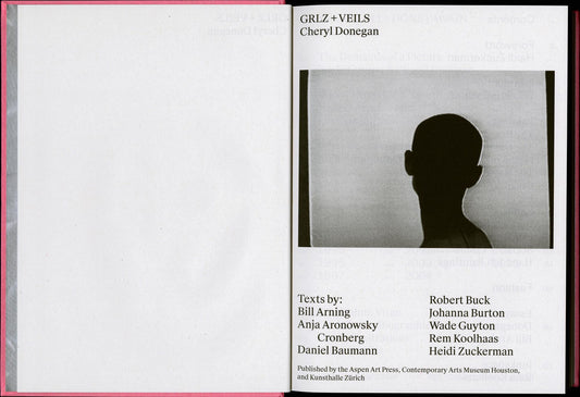 Cheryl Donegan: Grlz + Veils