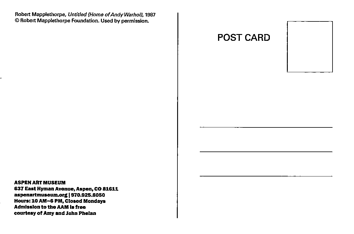 Untitled (Home of Andy Warhol) by Robert Mapplethorpe Postcard