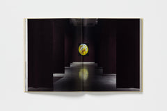 Allison Katz: In the House of the Trembling Eye