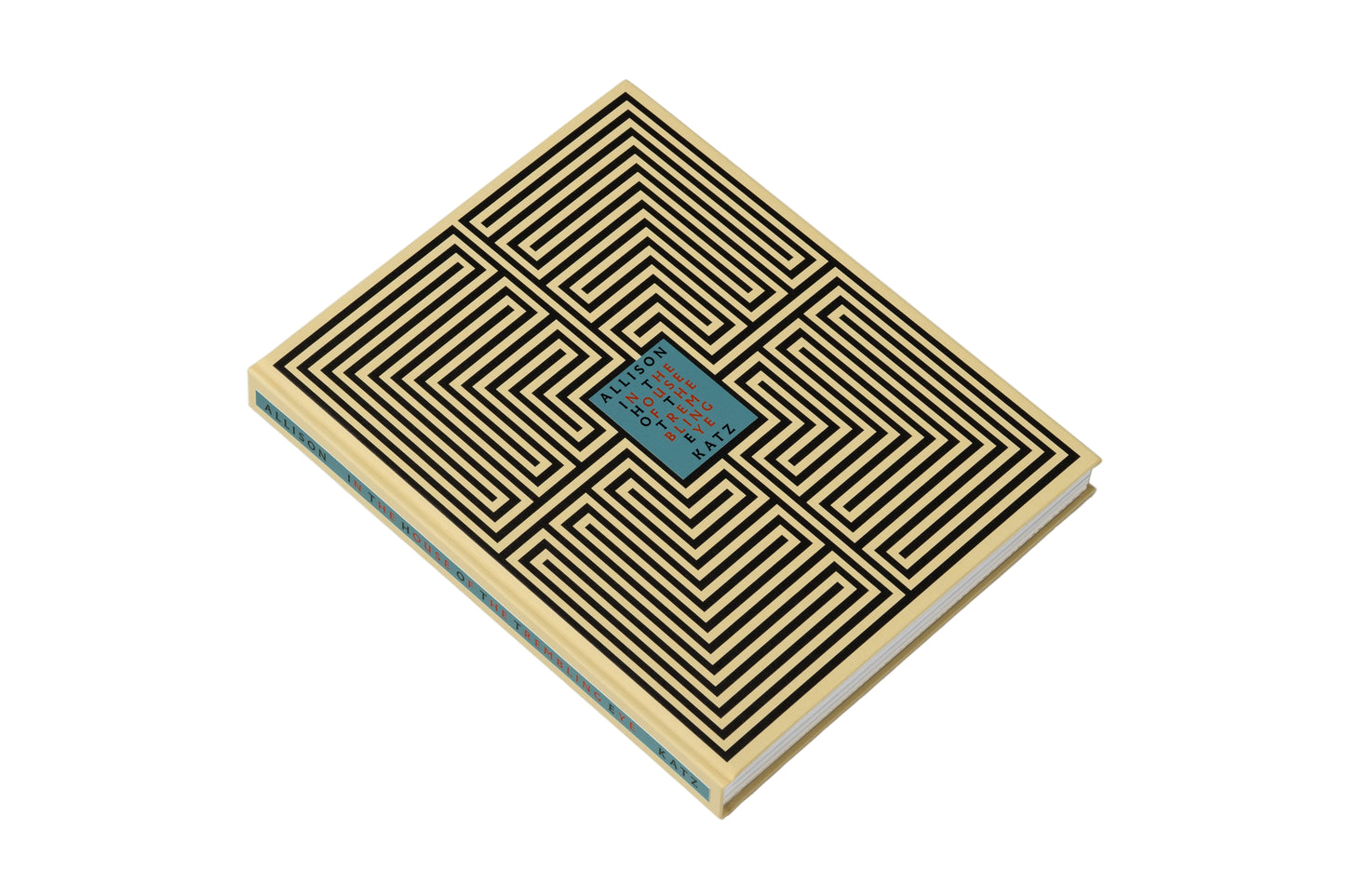 Allison Katz: In the House of the Trembling Eye