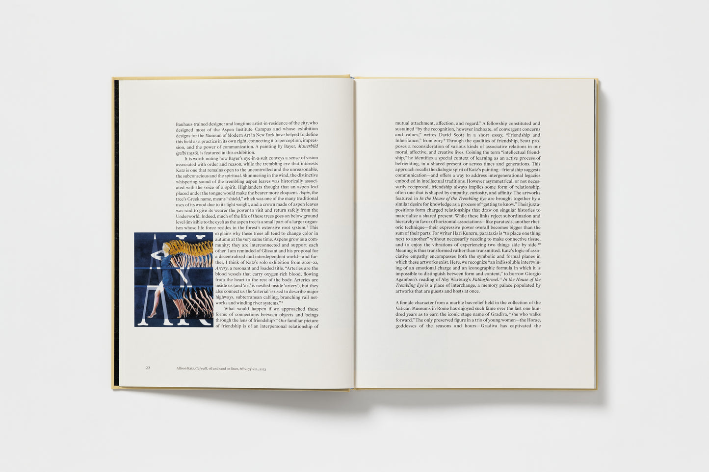 Allison Katz: In the House of the Trembling Eye