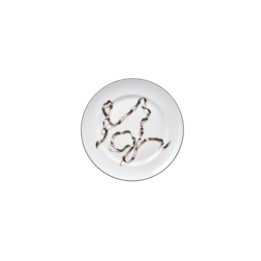 Ribbon Dinner Plates Set of 4