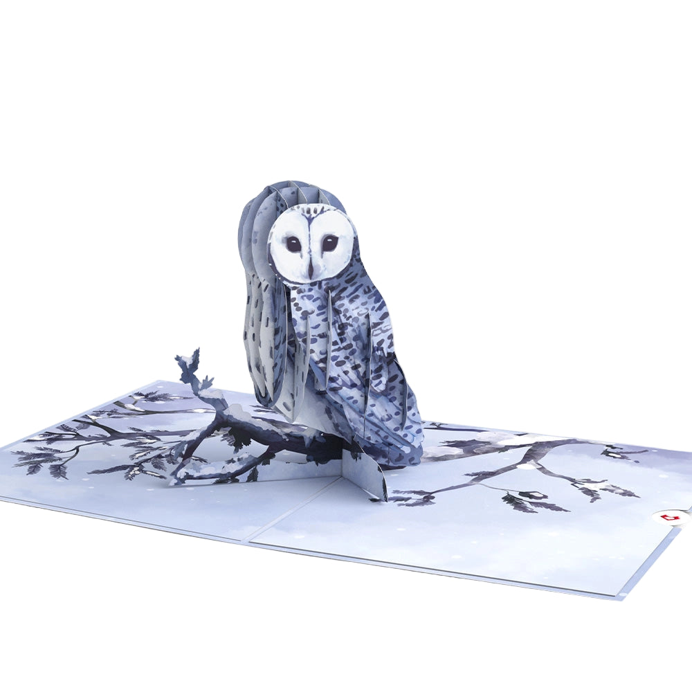 Pop Up Greeting Cards by LovePop