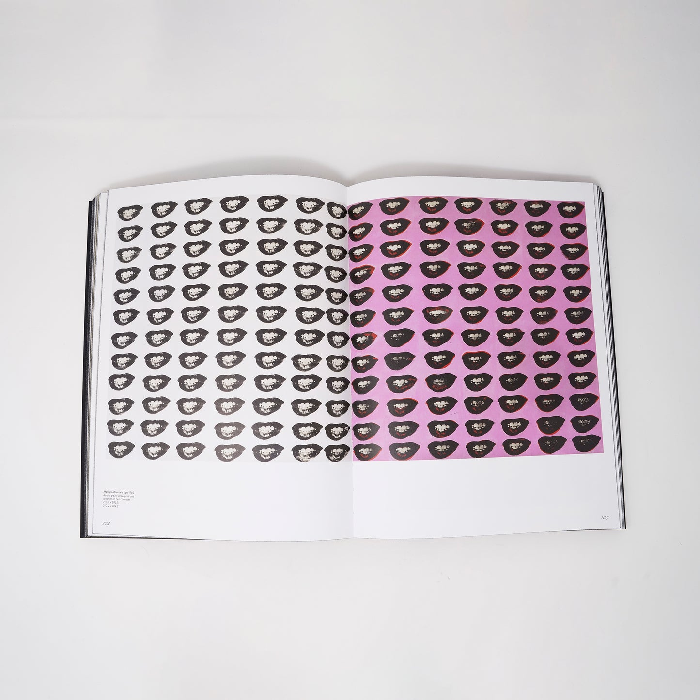 Possession Obsession: Andy Warhol and Collecting