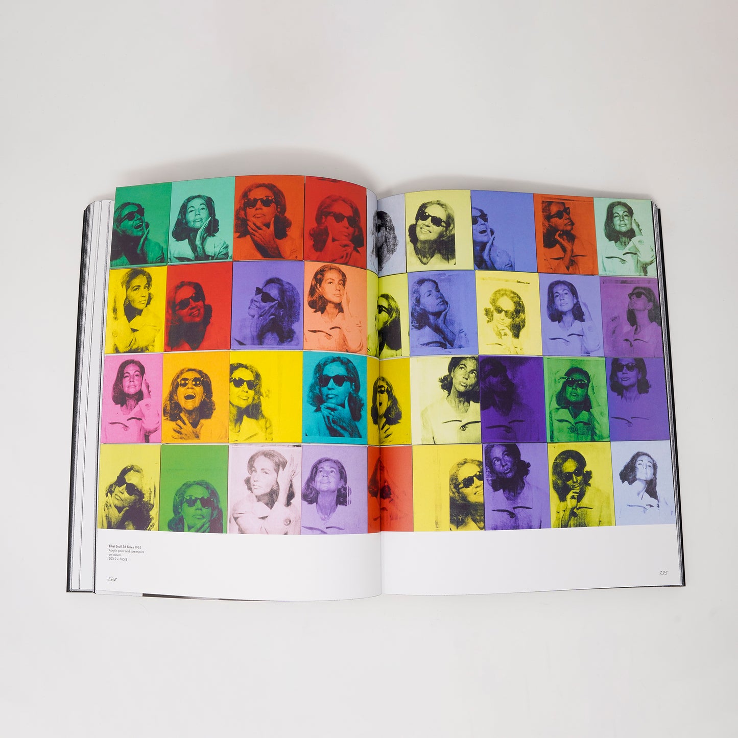 Possession Obsession: Andy Warhol and Collecting