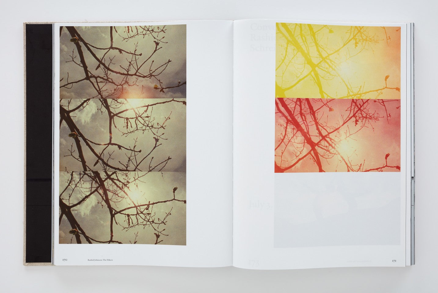 Rashid Johnson: The Hikers