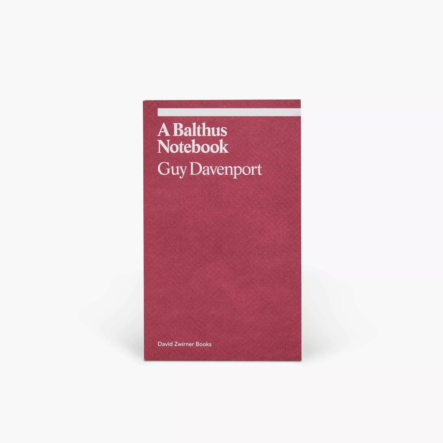 A Balthus Notebook by Guy Davenport